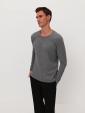 Изображение товара Лонгслив мужской, серый, арт. L2-210-40 фото 6